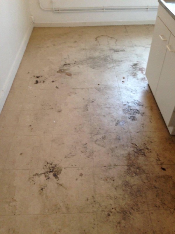 Professionnel qualifié pour le nettoyage d'un appartement proche de Deauville 14