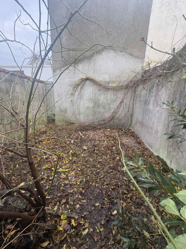 Débarras d'une cour encombrée a Grand Quevilly: entreprise de nettoyage et de débarras