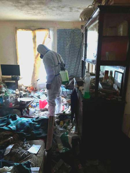 Traitement contre les cafards d'un appartement insalubre près de Rouen 76