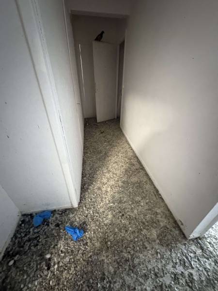 Entreprise de nettoyage/désinfection d'un logement envahi par les pigeons / fientes de pigeons sur Rouen 76 en Seine Maritime