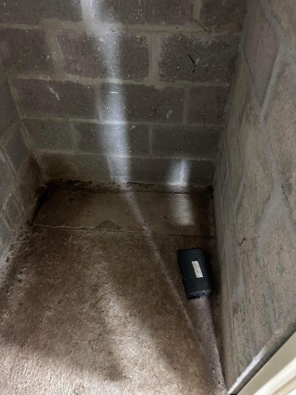 Nettoyage et dératisation dans un local d'une maison à Dieppe 76 en Normandie