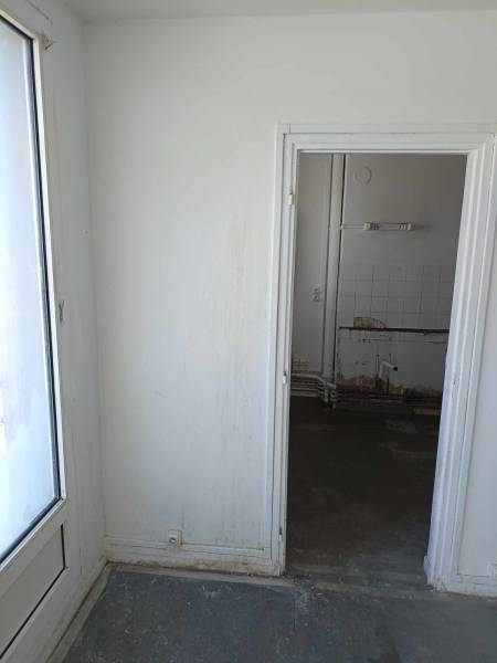 Entreprise de nettoyage/désinfection d'un logement envahi par les pigeons / fientes de pigeons sur Rouen 76 en Seine Maritime