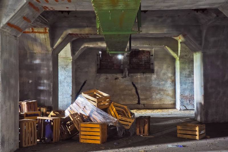 Expert dans la dératisation d'un immeuble à Rouen 76 en Seine Maritime