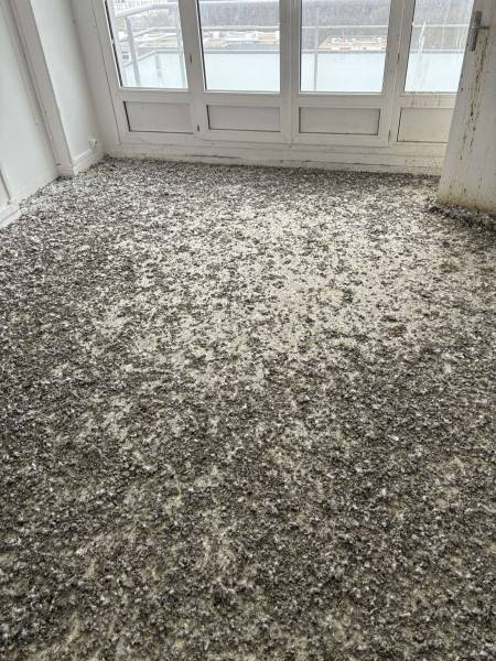 Entreprise de nettoyage/désinfection d'un logement envahi par les pigeons / fientes de pigeons sur Rouen 76 en Seine Maritime