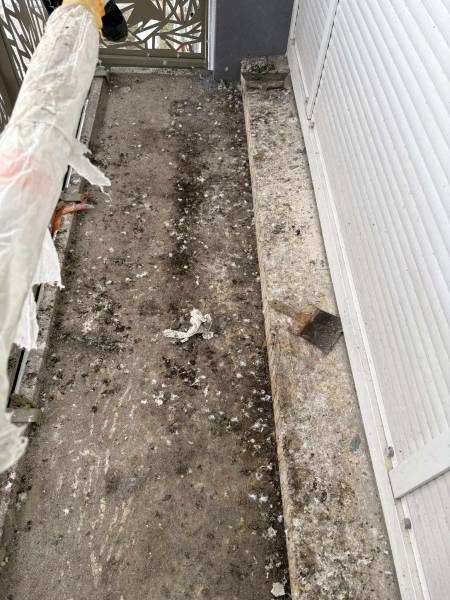 Société pour le nettoyage d'un balcon d'un appartement à cause des fientes de pigeons sur Barentin près de Rouen 76